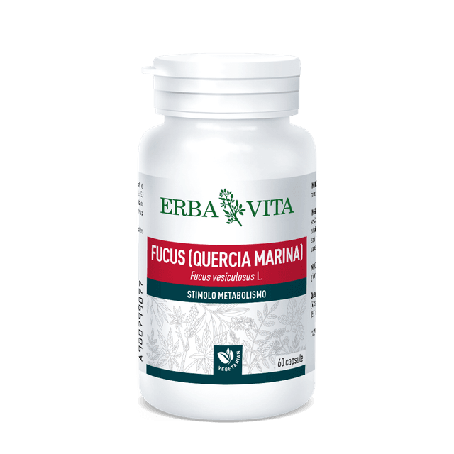 Fucus – 60 Kapseln à 500 mg