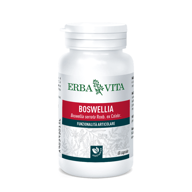 Boswellia Serrata 400 mg – 60 Kapseln EBV
