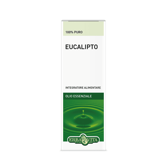 Eukalyptusöl ätherisches Öl – 10 ml