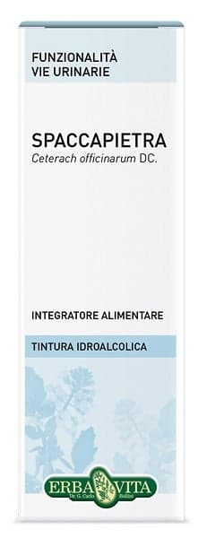 Spaccapietra Tropfen – 50 ml Lösung