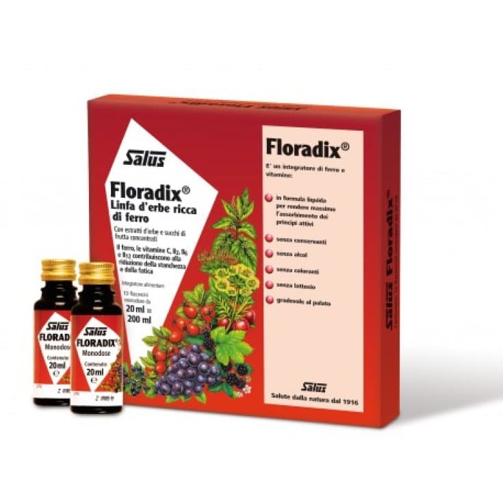 Floradix-Ferro – 10 Fläschchen à 20 ml