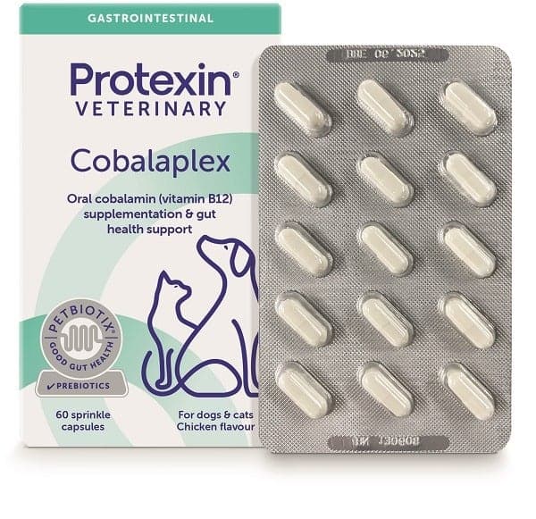 Cobalaplex – 60 Kapseln
