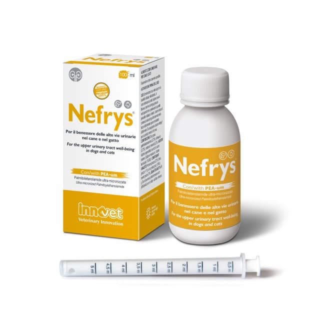 NEFRYS NEW 100 100ML C/SIR DOS