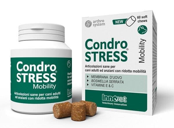 Condrostress Mobility – 60 Kautabletten