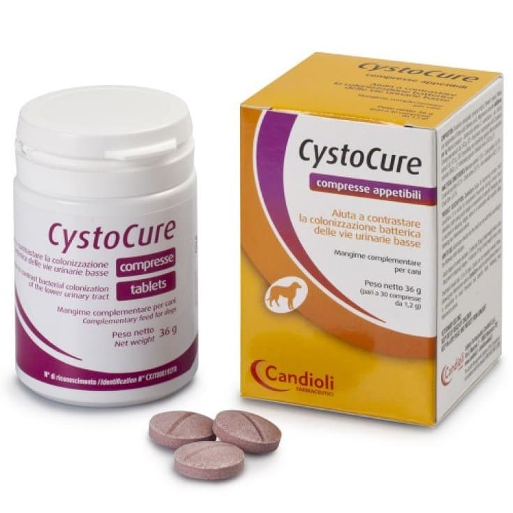 Cystocure Forte – 30 Kapseln