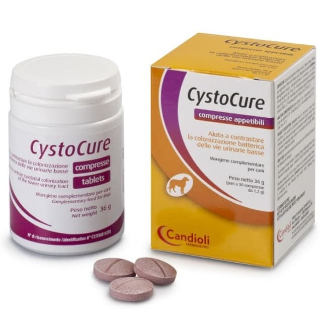 Cystocure Forte – 30 Kapseln