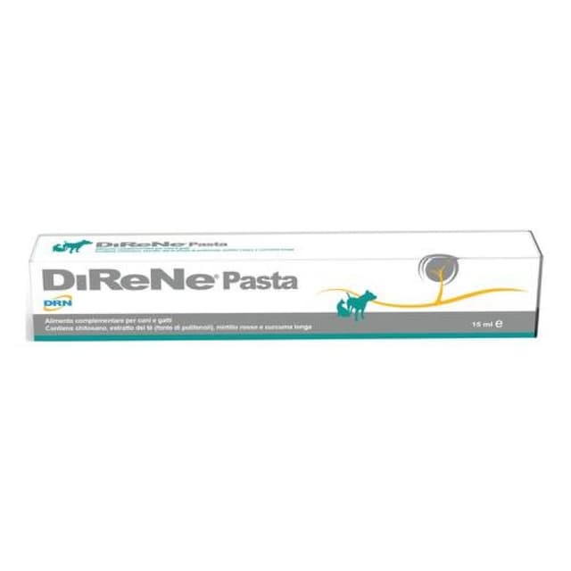 Direne Zahncreme – 15 ml