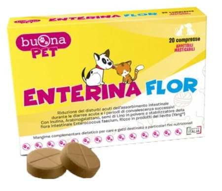 Enterina Flor – 20 Tabletten