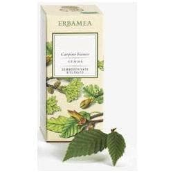 Ribes Nigrum Gemme – Gemmoderivato Erba Vita