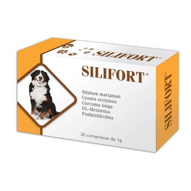 Silifort – 30 Tabletten à 1 g (Veterinär)