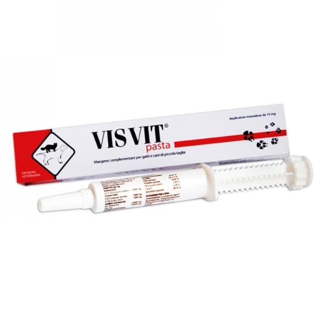 Visvit Pasta – 15 g Spritze