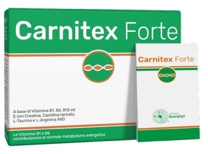 Carnitex Forte – 14 Beutel
