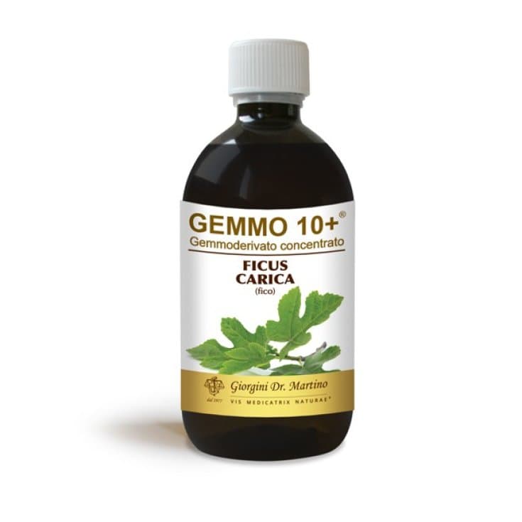 Fico Knospenextrakt – 500 ml alkoholfrei