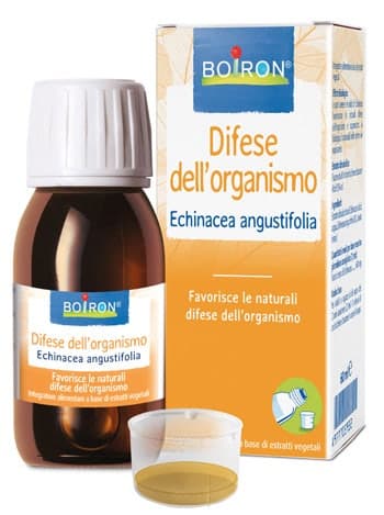 Echinacea Angustifolia Extrakt – 60 ml Tropfen
