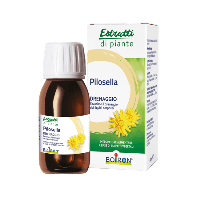 Pilosella EI Flüssigextrakt – 60 ml