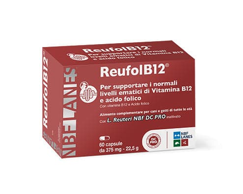 REUFOLB12 60CPS