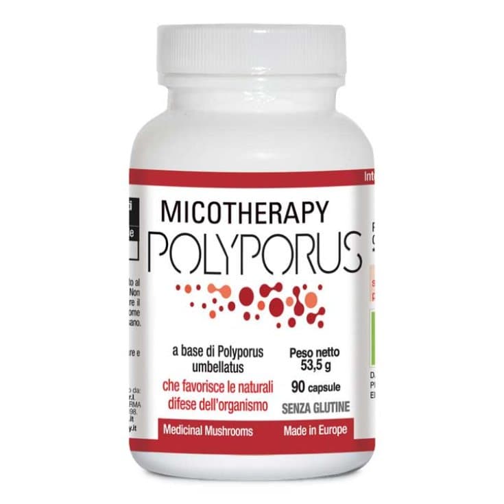 MICOTHERAPY POLYPORUS 90CPS
