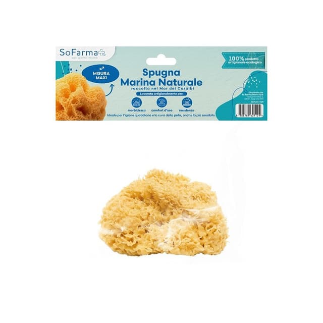 Naturschwamm aus Meerwasser Maxi SF+