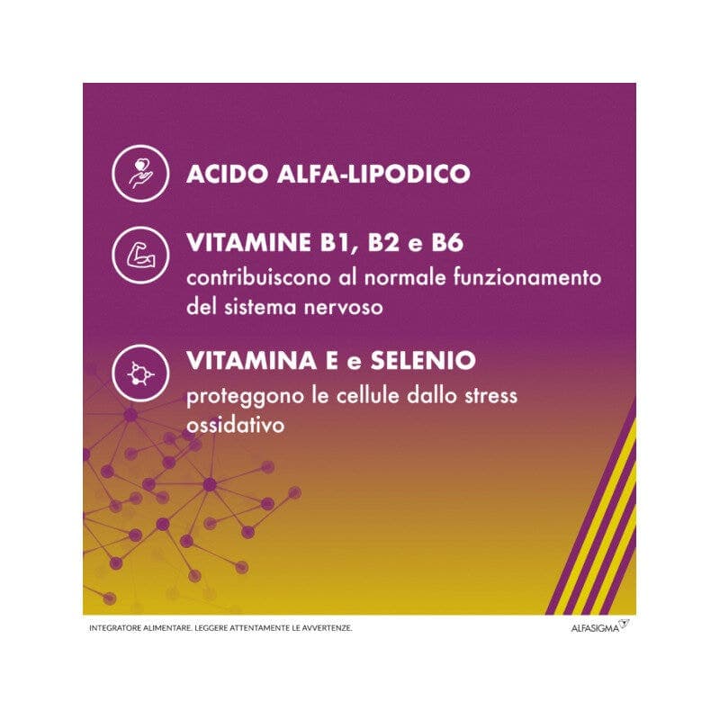 Alpha-Liponsäure + Selen – 20 Kapseln | Alanerv Alim 920 mg