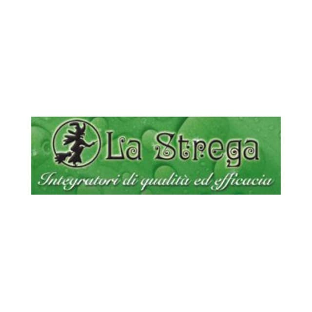 MAGNESIO 200 CHELATO 90TV STREGA