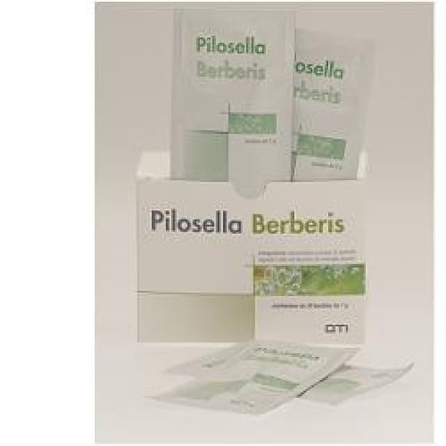 Pilosella Berberis OTI – 30 Beutel