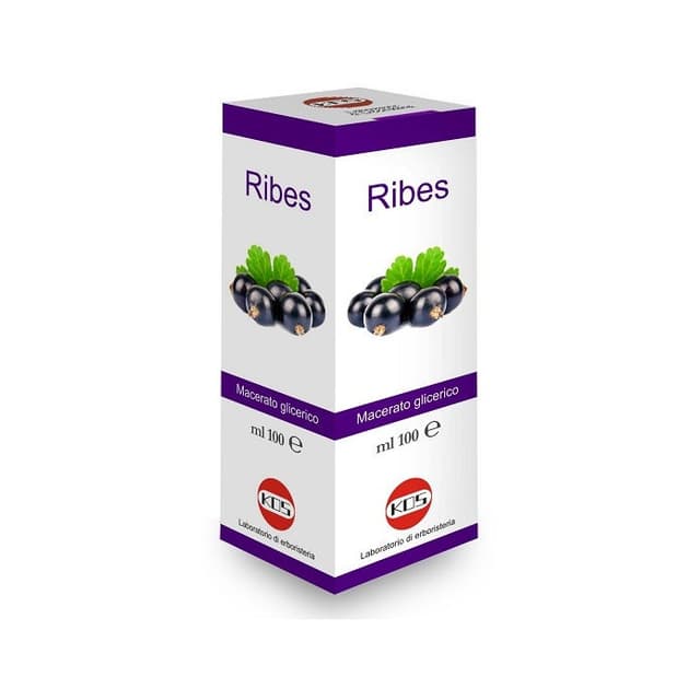 Ribes Nigrum MG – 100 ml Tropfen