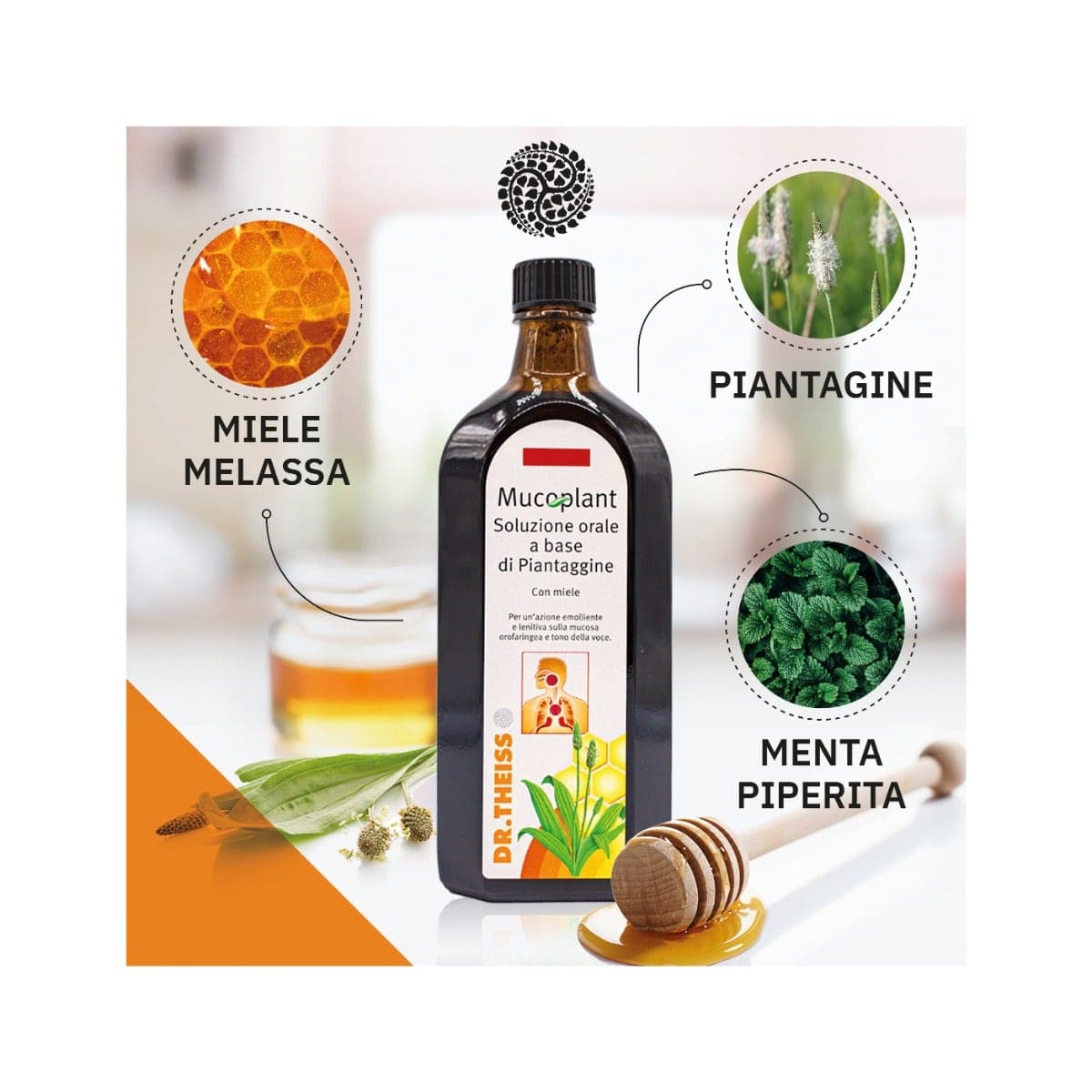 Theiss Spitzwegerich Sirup – 250 ml