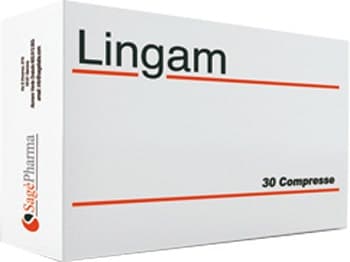 Lingam Integ – 30 Tabletten