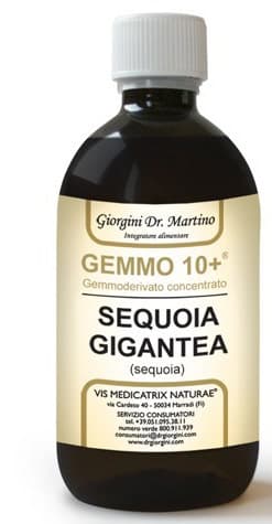Sequoia Gemmo 10+ alkoholfrei – Gemmoextrakt 500 ml