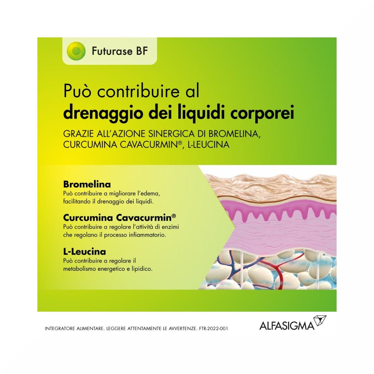 L-Leucin + Curcuma – 10 Beutel à 5 g | Futurase BF
