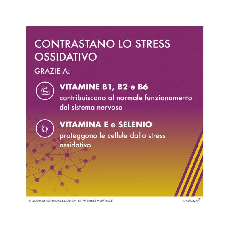 Alpha-Liponsäure + Vitamin B-Komplex – 20 Kapseln | Alanerv ON Int 985 mg