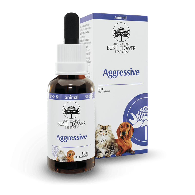 Aggressive 30 ml – Konzentrat zur äußerlichen Anwendung