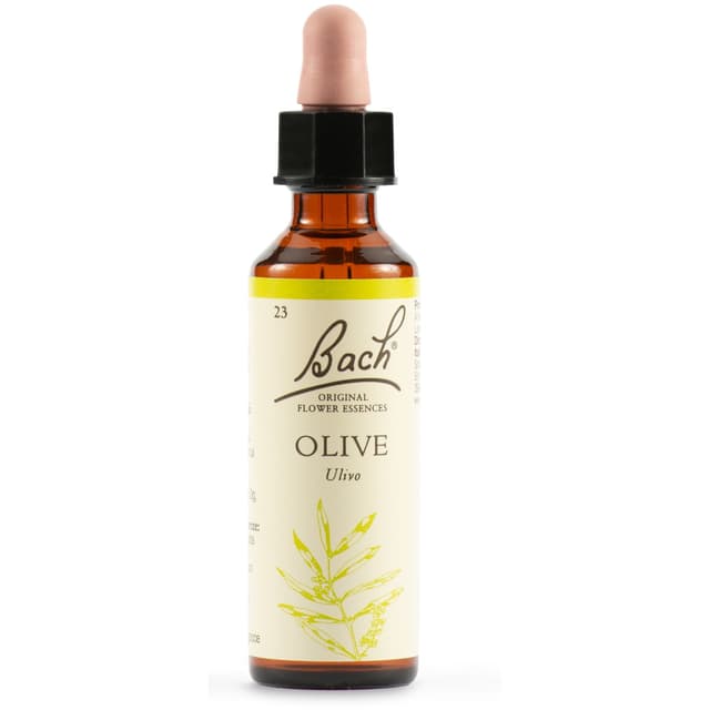Bachblüten Nr. 23 Olive Original – Tropfen, 20 ml