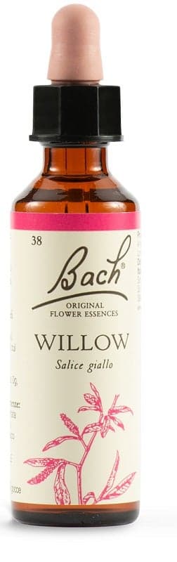 Willow Nr. 38 Bachblüte Original – 20 ml Tropfen