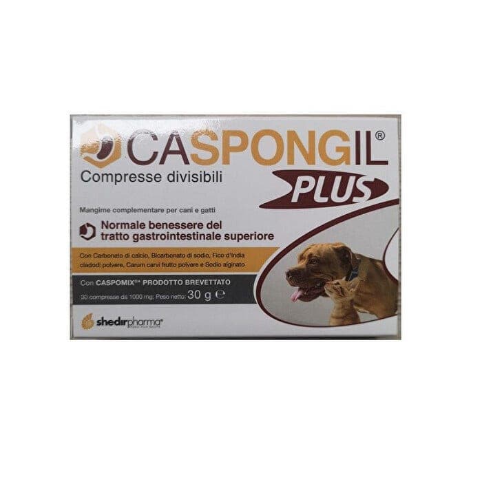 CASPONGIL PLUS 30CPR