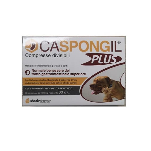 CASPONGIL PLUS 30CPR