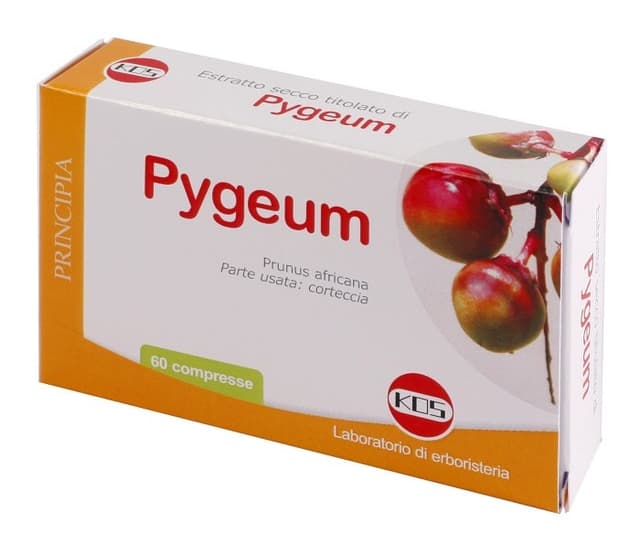 Pygeum Extrakt – 60 Tabletten