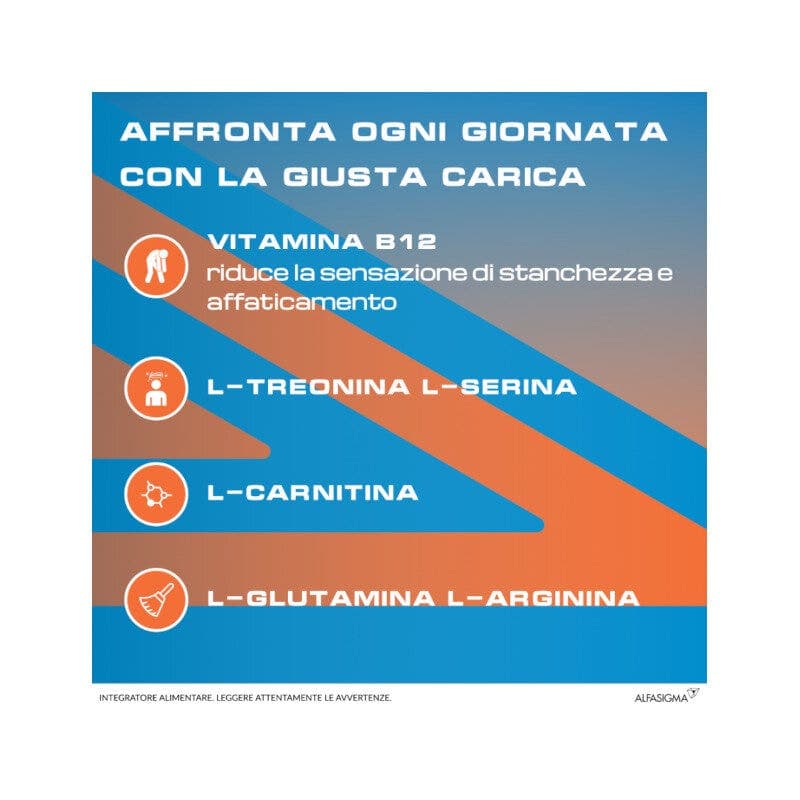 L-Carnitin + L-Arginin – 10 Ampullen à 10 ml | Rekord B12 Plus