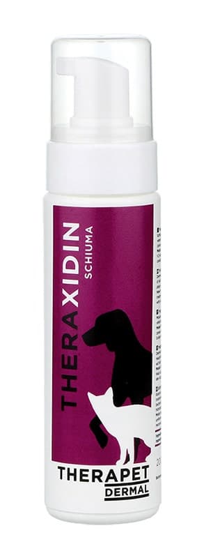 Theraxidin Schaum – 200 ml