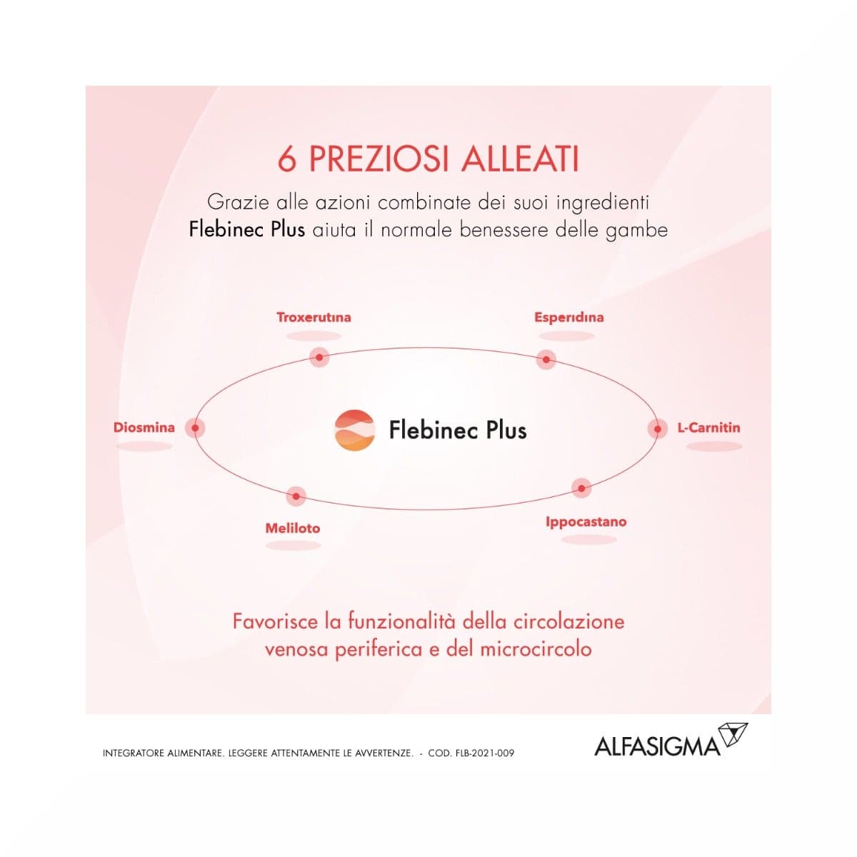Rutin + Diosmin – 14 Beutel | Flebinec Plus