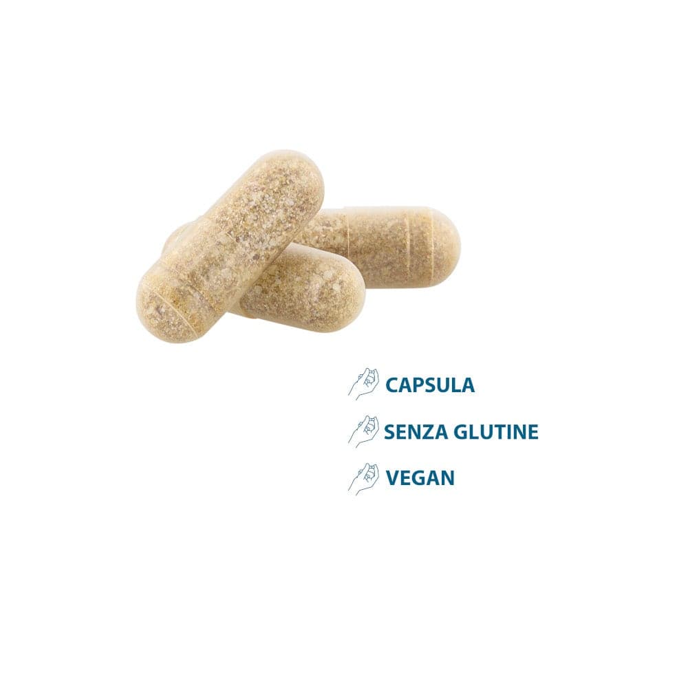 Multivitamine + Biotin – 3 x 30 Kapseln | Anacaps Expert