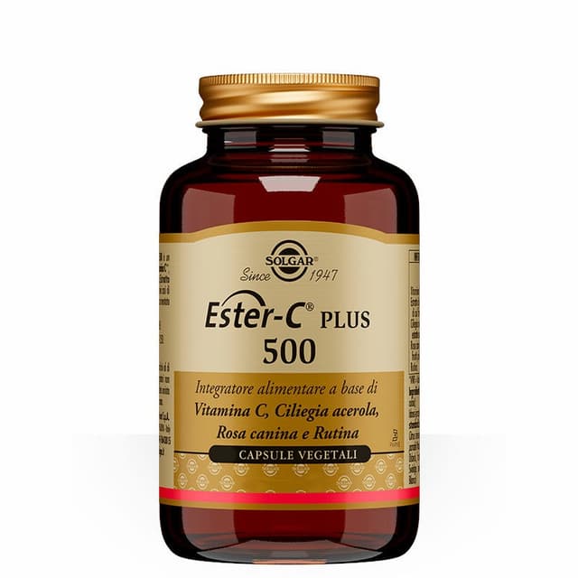 Ester C Plus 500 – 100 Kapseln