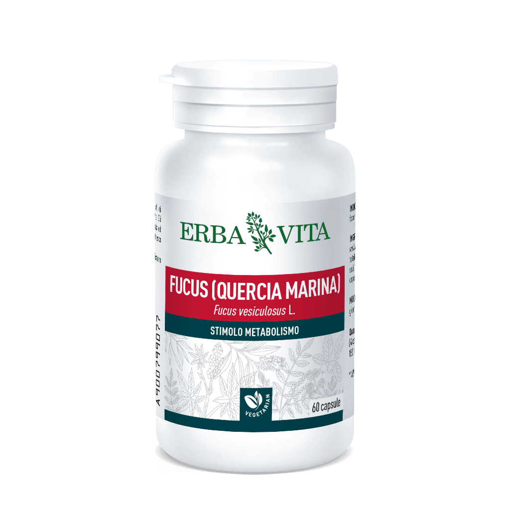 Fucus – 60 Kapseln à 500 mg