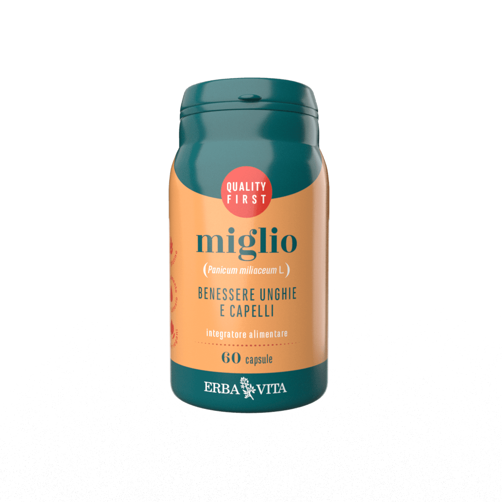MIGLIO 60CPS EBV