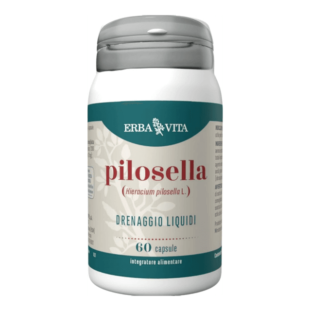 Pilosella – 60 Kapseln EBV