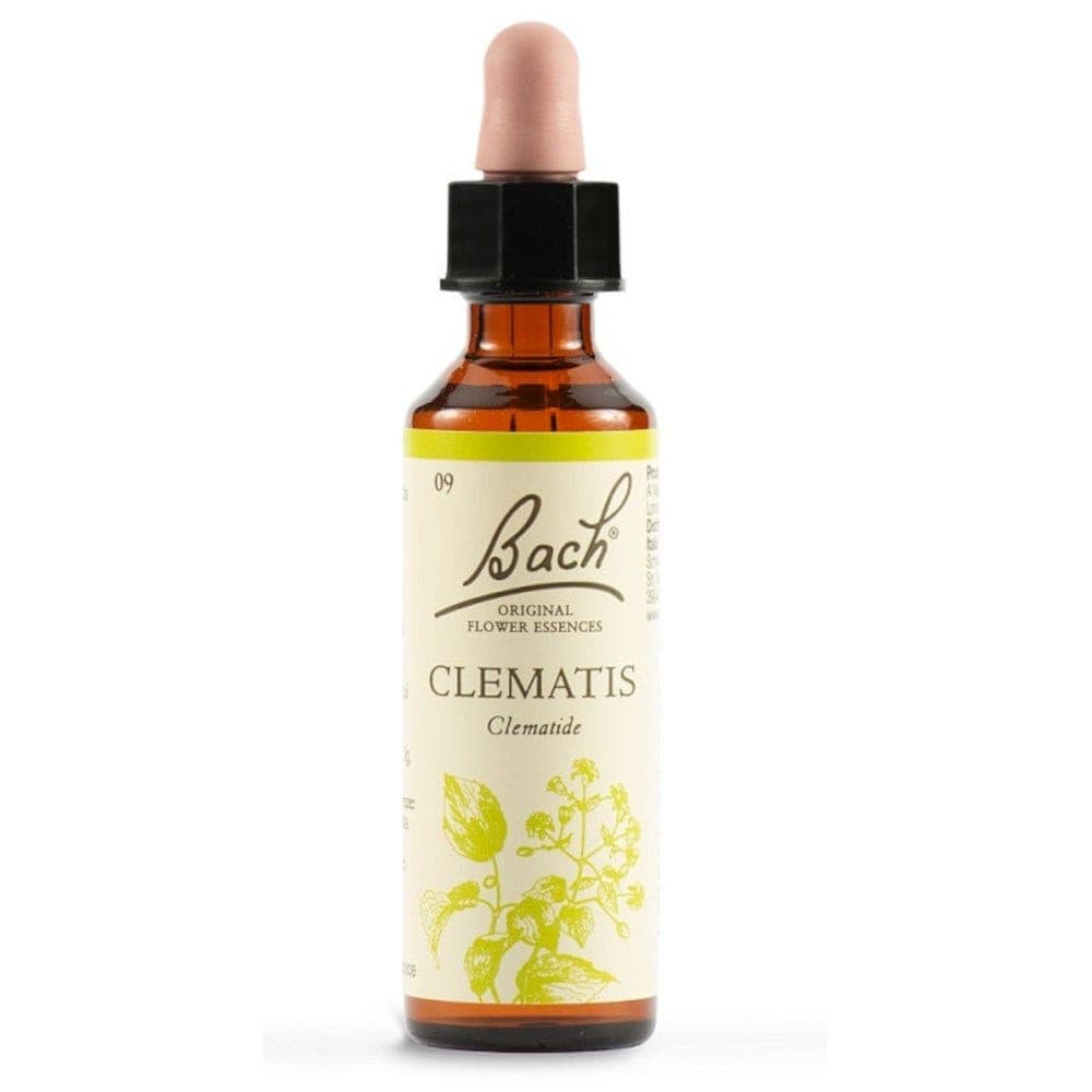 Clematis Bach Original – 20 ml Tropfen