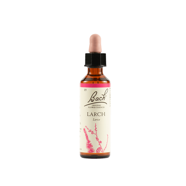 BACH LARCH ORIG 20ML