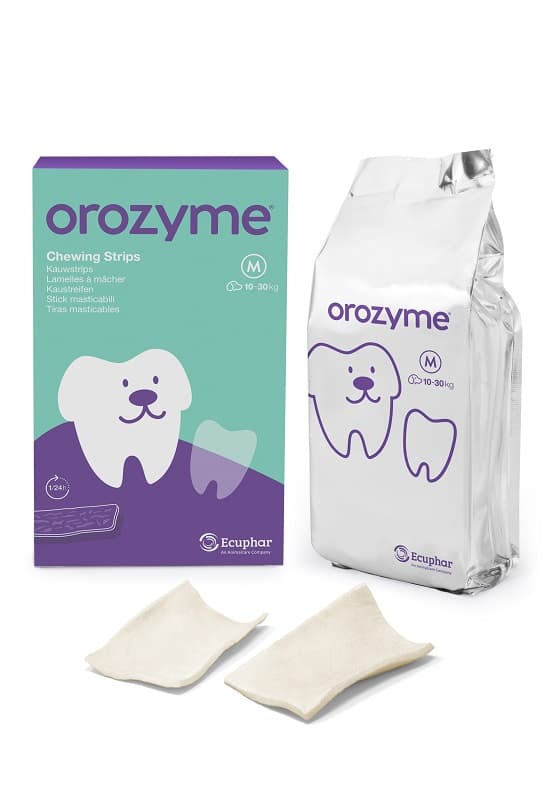 OROZYME CANE STICK TG. M