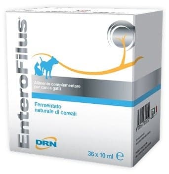 Enterofilus – 36x10 ml Ampullen