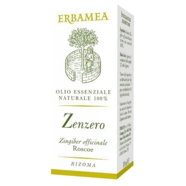 Zenzero Tropfen – 10 ml